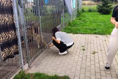 Family-Cars-Leszno-z-charytatywnym-zlotem-003