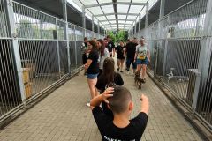 Family-Cars-Leszno-z-charytatywnym-zlotem-031