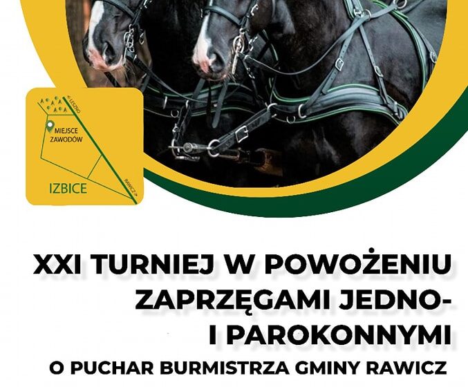 XXI Turniej w Powożeniu Zaprzęgami Jedno- i Parokonnymi